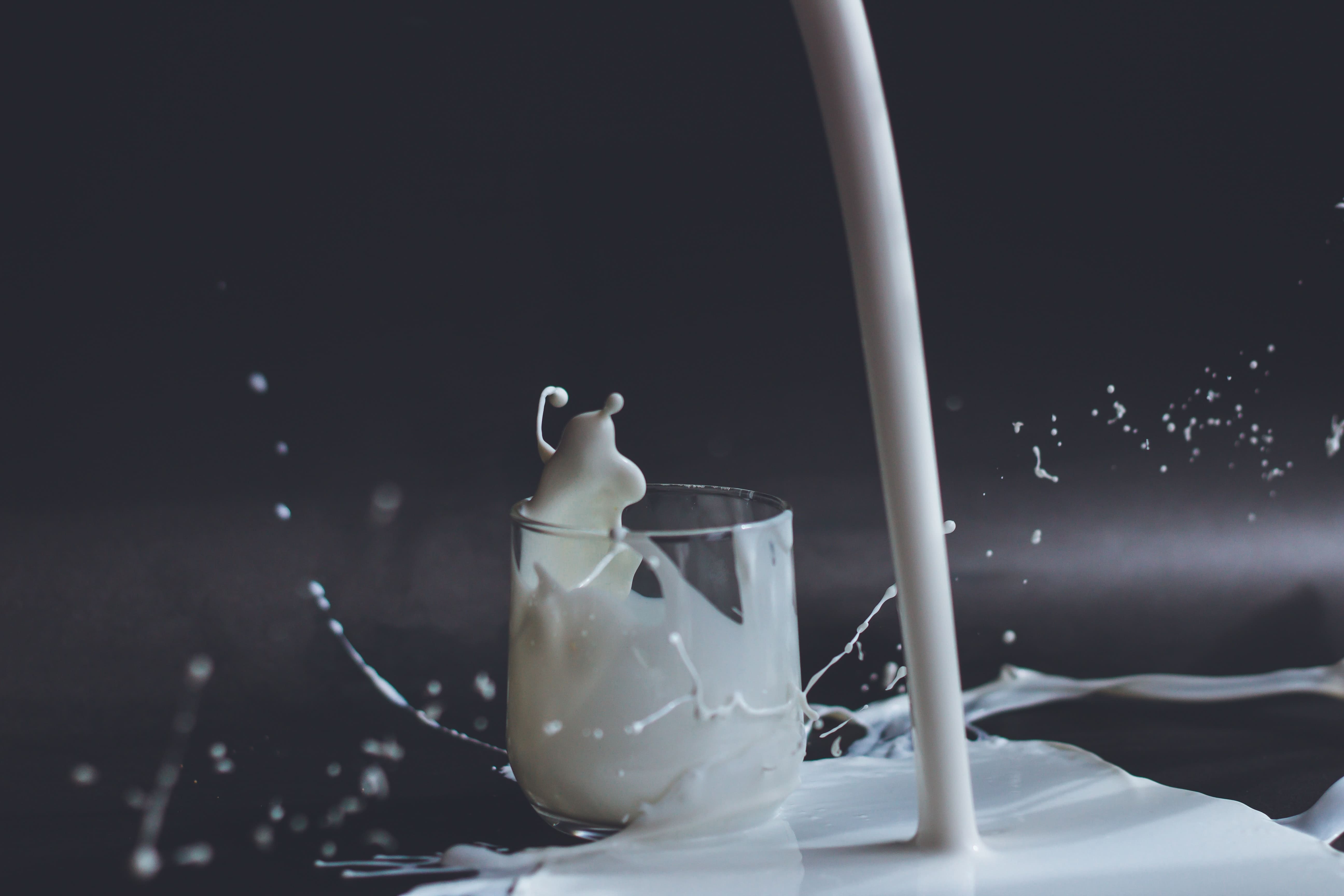 <center>Jak zwiększyć zawartość białka i kazeiny w mleku?</center>